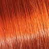 SASSOON INTENSITONE ORANGE