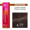 COLOR TOUCH DEEP BROWNS 4/77 60 ML