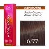 COLOR TOUCH DEEP BROWNS 6/77 60 ML