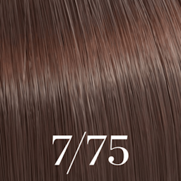 COLOR TOUCH DEEP BROWNS 7/75 60 ML