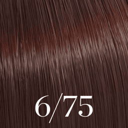 COLOR TOUCH DEEP BROWNS 6/75 60 ML