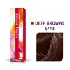 COLOR TOUCH DEEP BROWNS 5/73