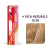 COLOR TOUCH RICH NATURAL 8/38