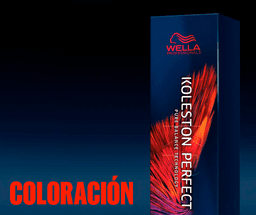 Color Es Wella Wella Professionals: Marca nº 1 en coloración para salones de belleza ...